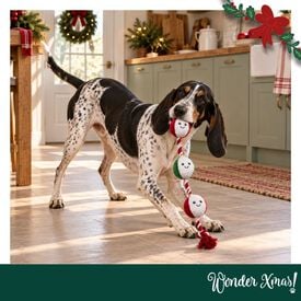 Wonder Christmas Corda e Guizo Brinquedo para c&atilde;es