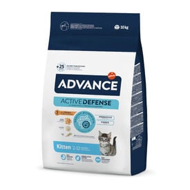 Advance Active Defense Frango e Arroz ração para gatinhos