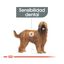 9 kg Royal Canin Maxi Dental Care ração para cães, , large Indicador imagem número 4