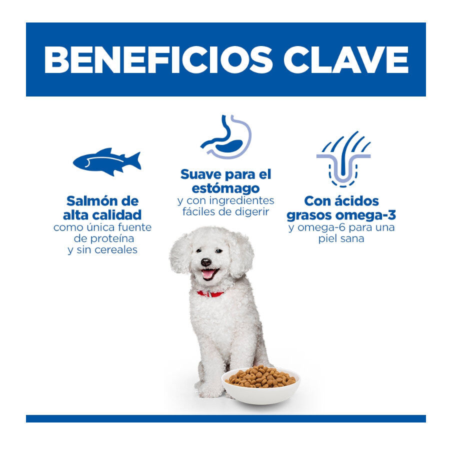 Hill's Science Plan Hipoalerg&eacute;nico Small e Mini Salm&atilde;o ra&ccedil;&atilde;o para c&atilde;es , , large Imagem n&uacute;mero 3