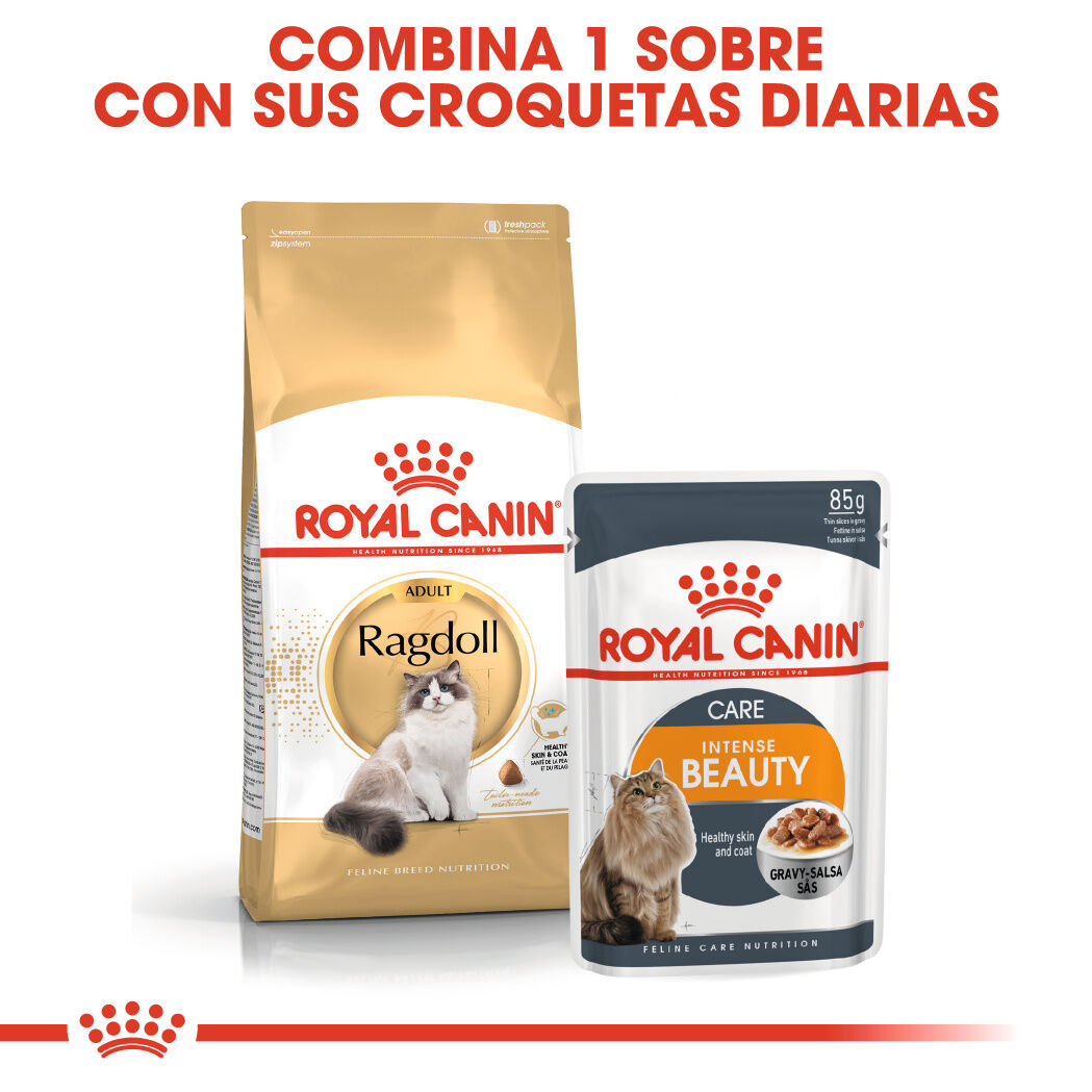 2 kg Royal Canin Adult Ragdoll ra&ccedil;&atilde;o para gatos, , large Imagem n&uacute;mero 6