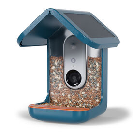 Birdbuddy Comedouro Inteligente com C&acirc;mara para P&aacute;ssaros