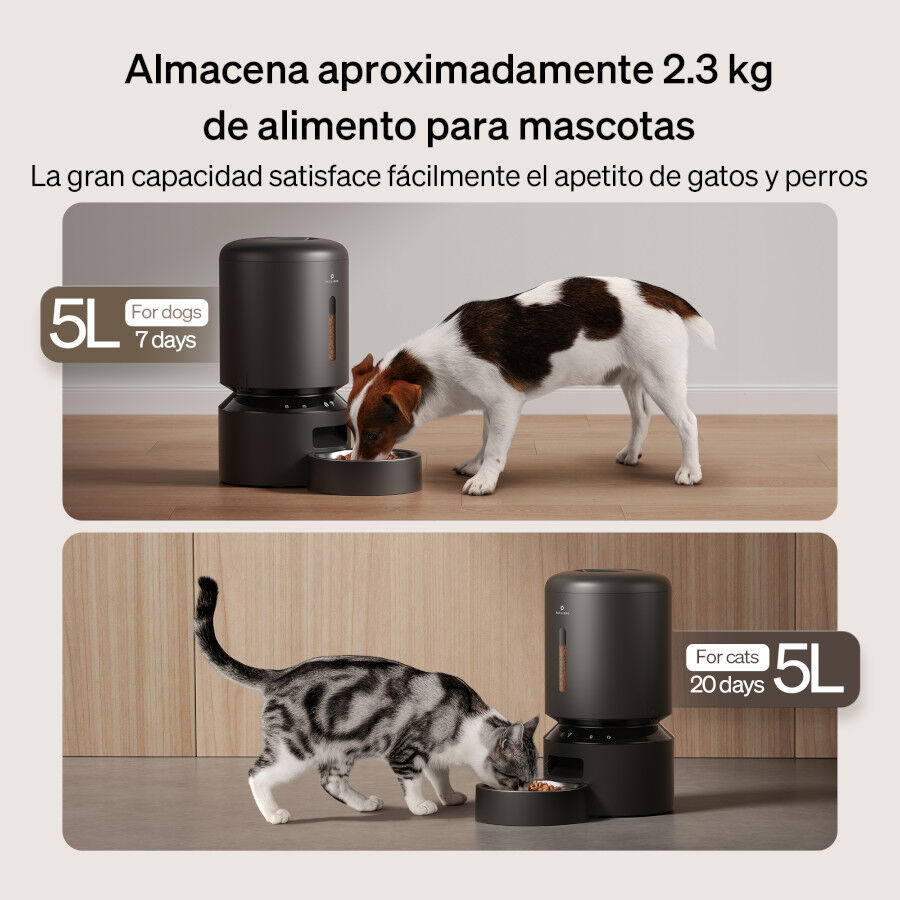Petlibro Granary Wi-Fi Comedouro Autom&aacute;tico Preto para c&atilde;es e gatos, , large Imagem n&uacute;mero 6