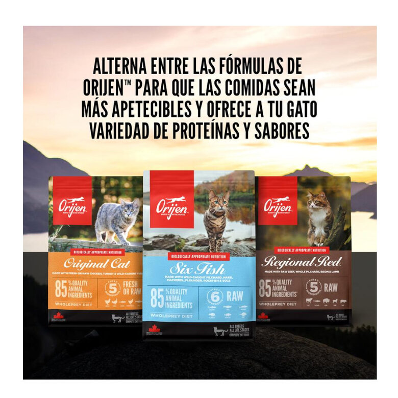 5.4 kg Orijen Original ração para gatos e gatinhos,  Imagem número 9 5.4 kg Orijen Original ração para gatos e gatinhos, , large Imagem número 9