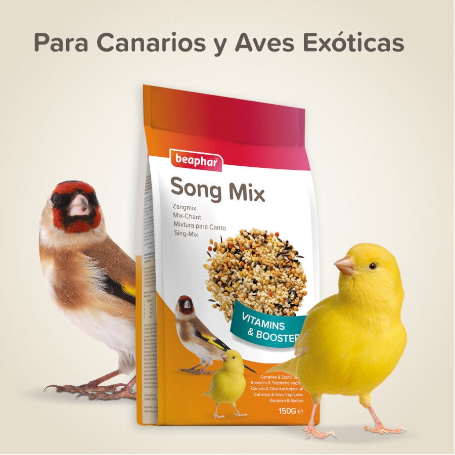 Beaphar Estimulante de canto para p&aacute;ssaros, , large Imagem n&uacute;mero 5