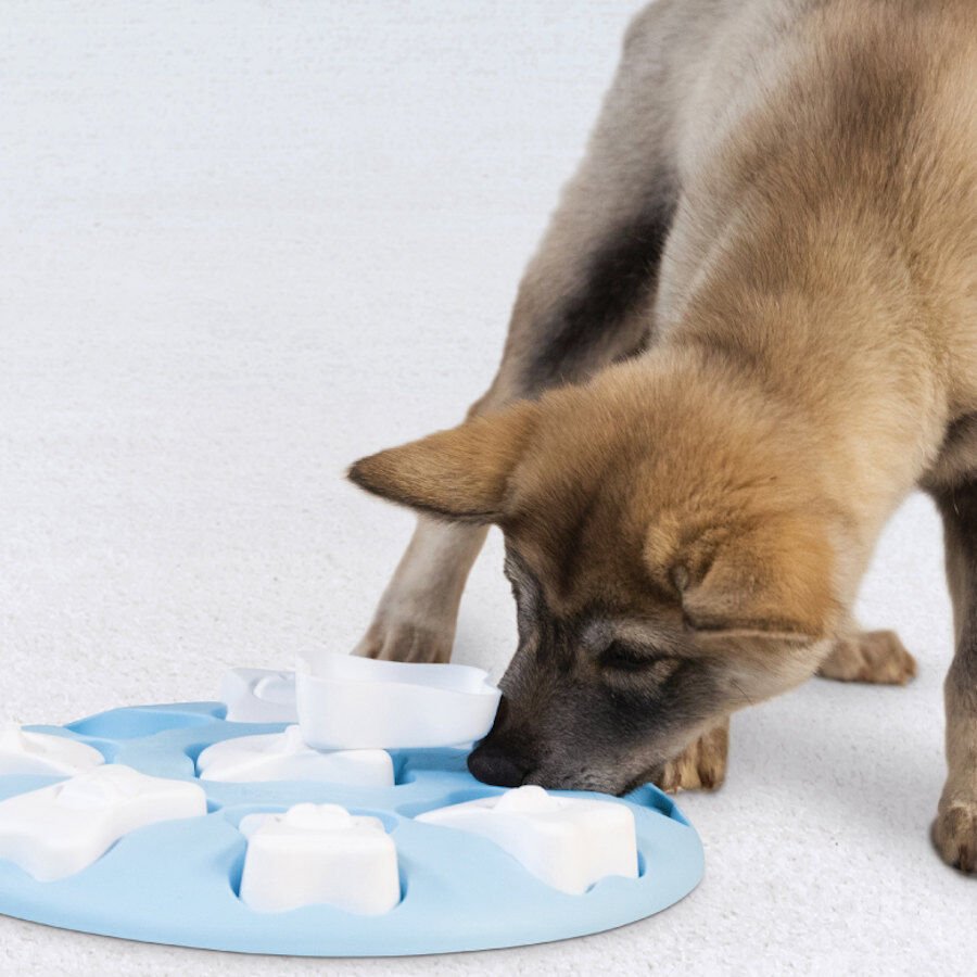 Outward Hound Puppy Smart Puzzle para cachorros, , large Imagem n&uacute;mero 3