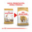 12 kg Royal Canin Adult Beagle ração para cães, , large Indicador imagem número 3