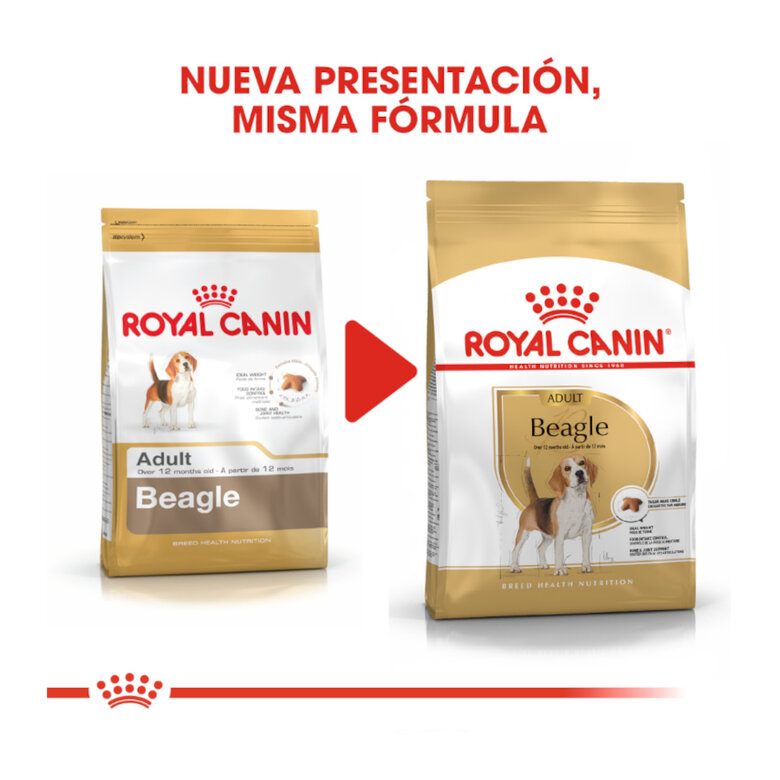 12 kg Royal Canin Adult Beagle ração para cães,  Imagem número 3 12 kg Royal Canin Adult Beagle ração para cães, , large Imagem número 3