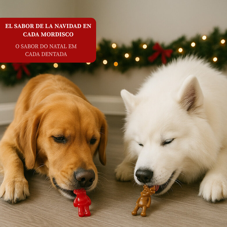 2 uds. Wonder Christmas Snacks Reno & Santa Navideños para perros,  Imagem número 4 2 uds. Wonder Christmas Snacks Reno & Santa Navideños para perros, , large Imagem número 4