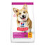10 kg Hill's Science Plan Small Y Mini Adult Frango ração para cães, , large Indicador imagem número 1