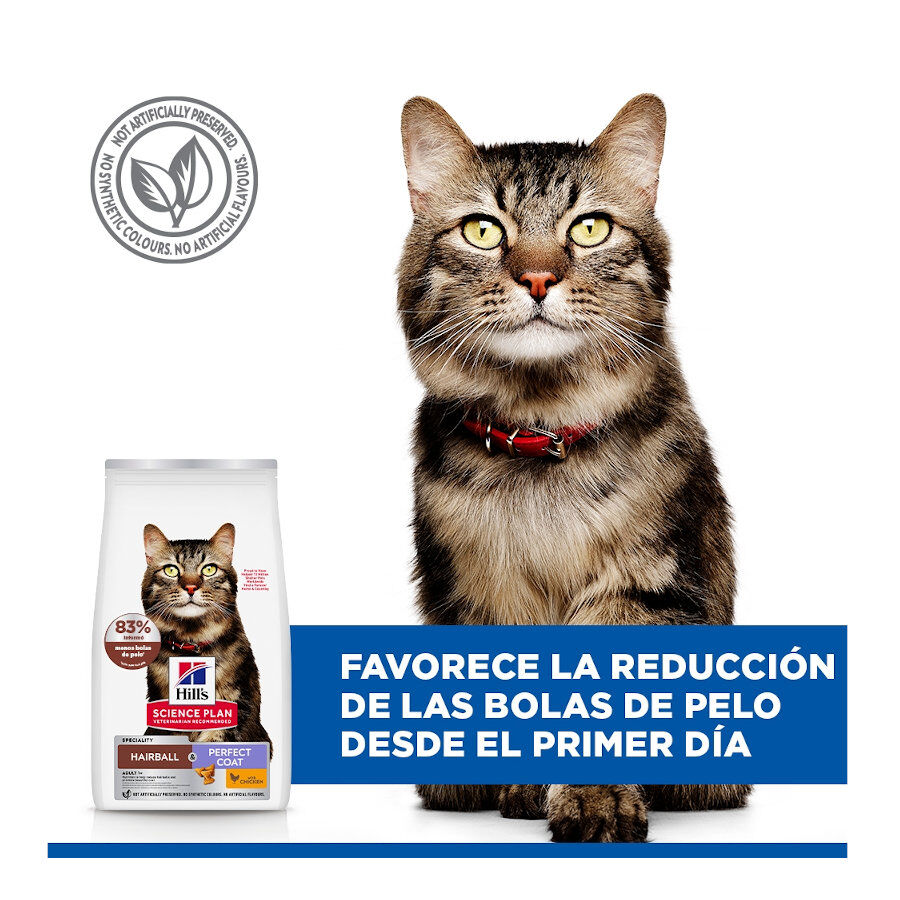 1.5 kg Hill's Science Plan Adult Hairball & Perfect Coat Ra&ccedil;&atilde;o de frango para gatos, , large Imagem n&uacute;mero 4