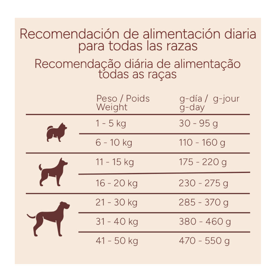 10 kg Criadores Monoproteico Adulto Ra&ccedil;&atilde;o de cordeiro para c&atilde;es, , large Imagem n&uacute;mero 10