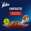 48 saquetas x 85 g Felix Seleção de carnes em gelatina - Multipack Pack poupança!, , large Indicador imagem número 2