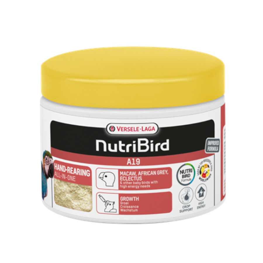 800 g Versele-Laga NutriBird A19 Papa para cria&ccedil;&atilde;o de Papagaios, , large Imagem n&uacute;mero 1