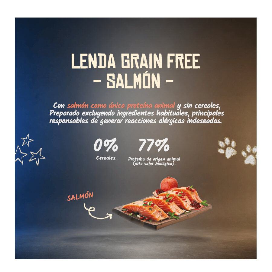 10 kg Lenda Grain Free Ra&ccedil;&atilde;o de Salm&atilde;o para c&atilde;es, , large Imagem n&uacute;mero 2
