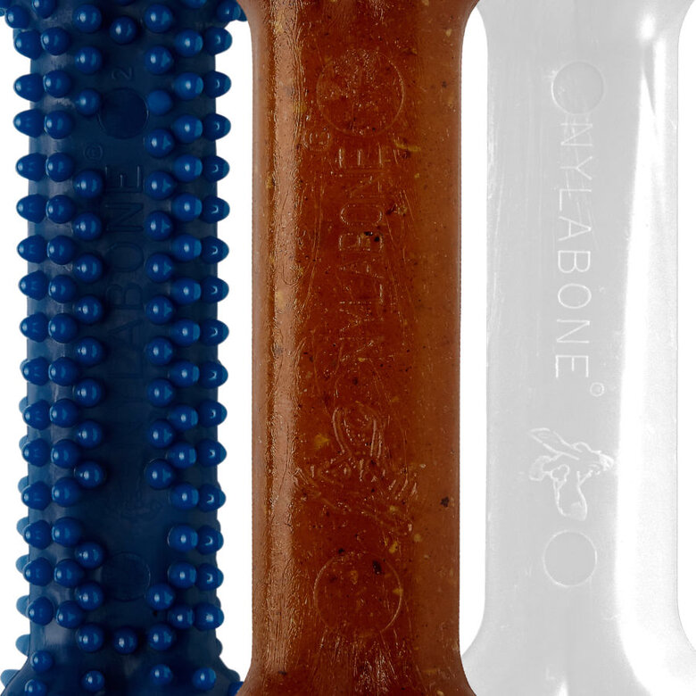 Nylabone Kit de Iniciação Mordedor Triple para cachorros ,  Imagem número 3 Nylabone Kit de Iniciação Mordedor Triple para cachorros , , large Imagem número 3