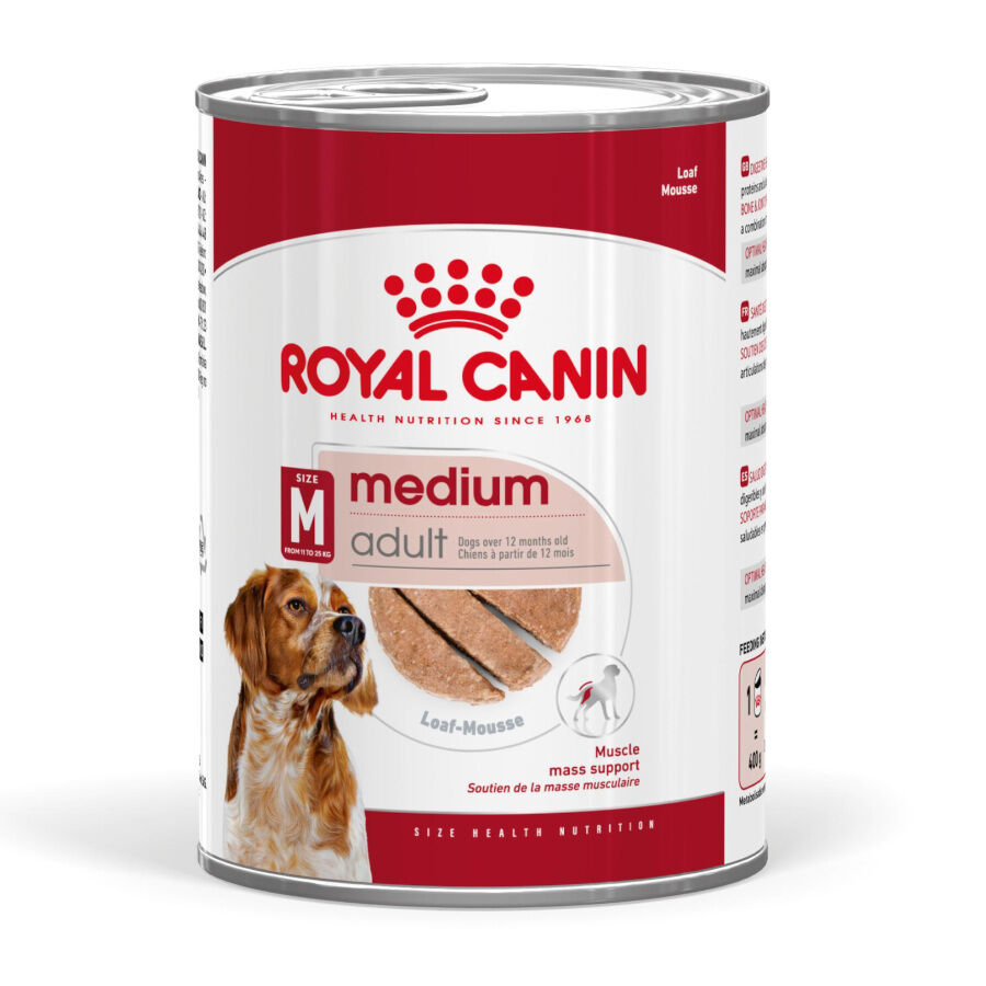 410 g Royal Canin Medium Adult Pat&ecirc; em lata para c&atilde;es, , large Imagem n&uacute;mero 1