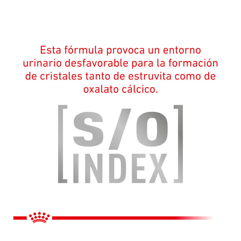 12 saquetas x 85 g Pack 12 Saquetas Royal Canin Veterinary Diet Feline Urinary S/O 85 g,  Imagem número 7 12 saquetas x 85 g Pack 12 Saquetas Royal Canin Veterinary Diet Feline Urinary S/O 85 g, , large Imagem número 7