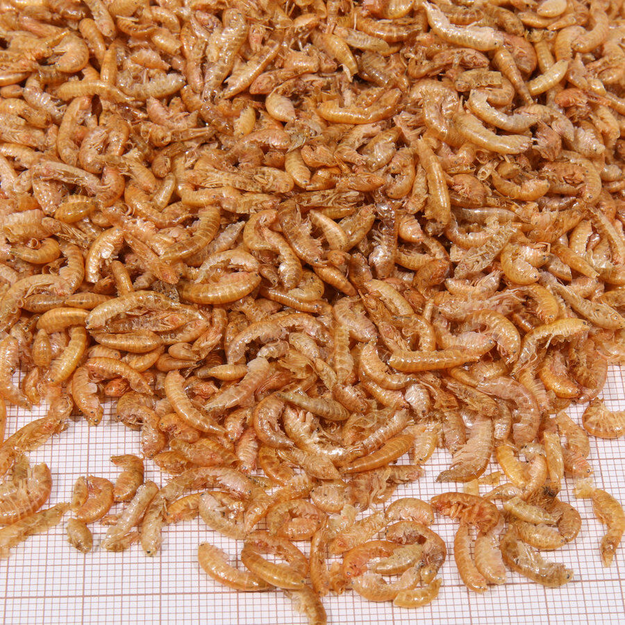 JBL Gammarus de Rio Desidratados para tartarugas aqu&aacute;ticas, , large Imagem n&uacute;mero 2