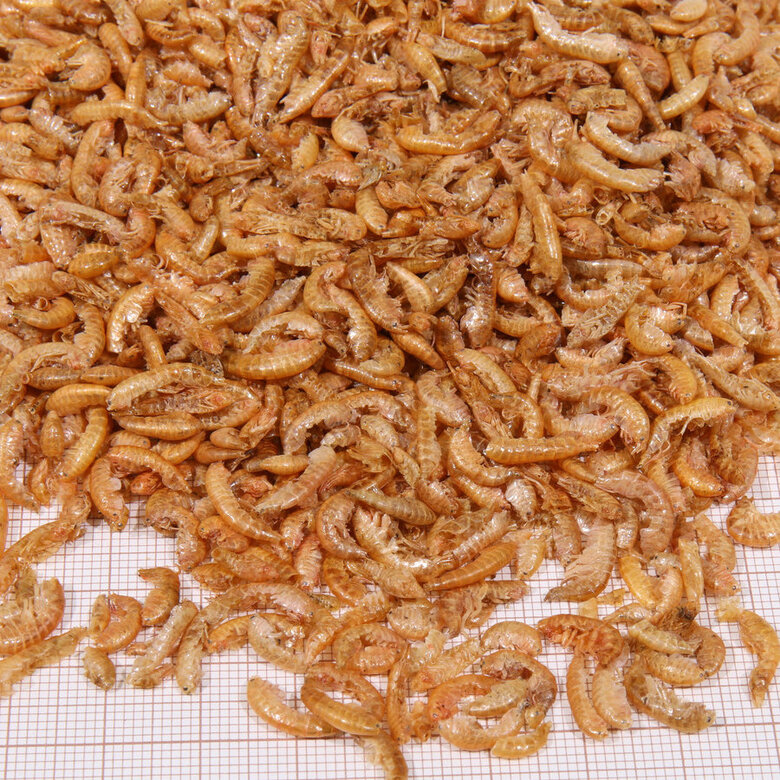 JBL Gammarus de Rio Desidratados para tartarugas aquáticas,  Imagem número 2 JBL Gammarus de Rio Desidratados para tartarugas aquáticas, , large Imagem número 2