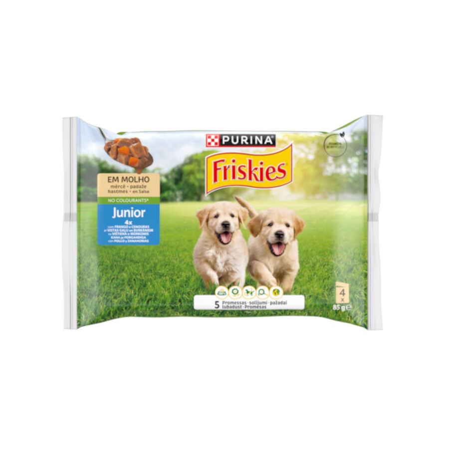 4 saquetas x 85 g Purina Friskies Comida Humida para c&atilde;es j&oacute;vens, con frango e cenoura, , large Imagem n&uacute;mero 1