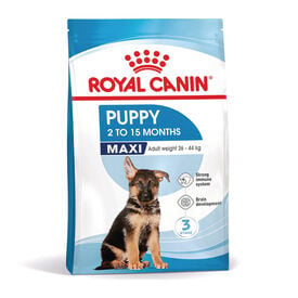 Royal Canin Puppy Maxi ra&ccedil;&atilde;o para c&atilde;es