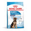 4 kg Royal Canin Puppy Maxi ra&ccedil;&atilde;o para c&atilde;es, , large Indicador imagem n&uacute;mero 1