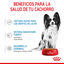 85 g Royal Canin X-Small Puppy Bocaditos em molho saqueta para cachorros, , large Indicador imagem número 6