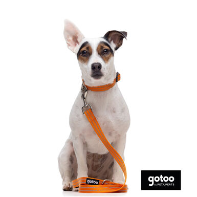 Gotoo Trela de nylon refletora laranja para cães