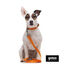 Gotoo Trela de nylon refletora laranja para cães, , large Indicador imagem número 3