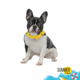 Summer Vibes Bandana refrescante para c&atilde;es