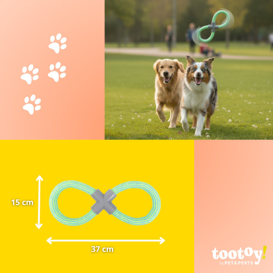 Tootoy! Pull Mordedor de corda com duplo la&ccedil;o para c&atilde;es, , large Imagem n&uacute;mero 5