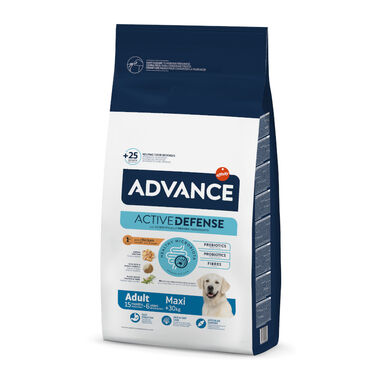 Advance Active Defense Maxi Adult Frango e Arroz ração para cães