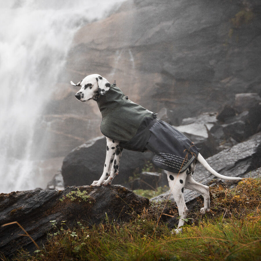 Non-stop dogwear Fjord Capa de chuva imperme&aacute;vel preto e verde para c&atilde;es, , large Imagem n&uacute;mero 3