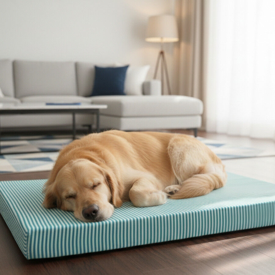Leeby Colch&atilde;o riscas finas para c&atilde;es, , large Imagem n&uacute;mero 1