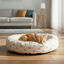 Leeby Cama donut sol para gatos, , large Indicador imagem n&uacute;mero 1