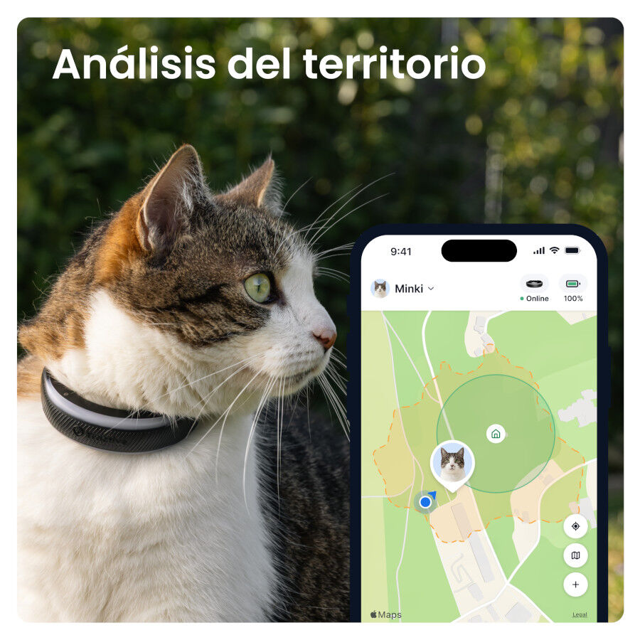 Tractive CAT 6 Mini Preto GPS para gatos, , large Imagem n&uacute;mero 4