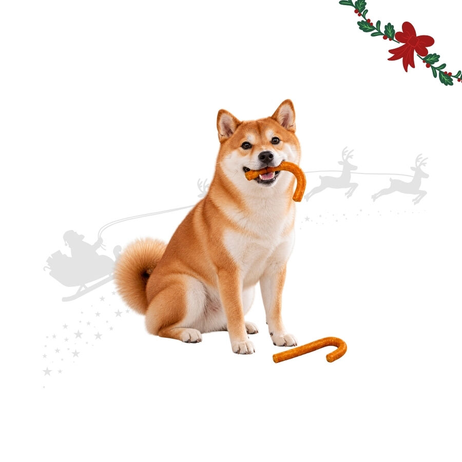 1 pack x 2 uns. Wonder Christmas Dupla de Bengalas de Natal Snacks para C&atilde;es, , large Imagem n&uacute;mero 1