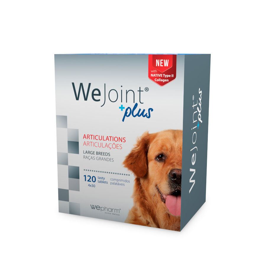 Wepharm Wejoint Plus Ra&ccedil;as Grandes Suplemento para c&atilde;es, , large Imagem n&uacute;mero 1