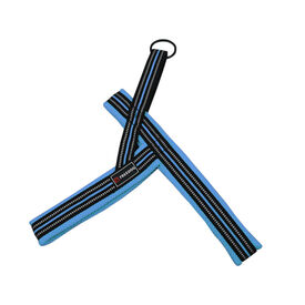 Freedog Soft Sport Peitoral Desportivo Turquesa para cães