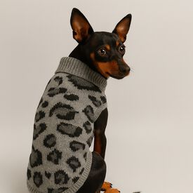 Nayeco Camisola Jacquard Leopardo Cinzenta para cães
