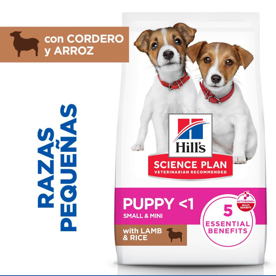 6 kg Hill's Science Plan Puppy Small & Mini Ra&ccedil;&atilde;o de cordeiro e arroz para c&atilde;es, , large Imagem n&uacute;mero 2
