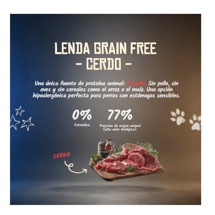 10 kg Lenda Grain Free Ra&ccedil;&atilde;o de Porco para c&atilde;es, , large Imagem n&uacute;mero 4