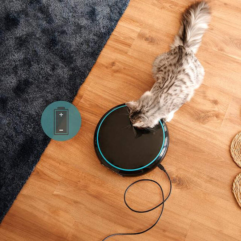 Cecotec Pumba 1600 Purrfect Meal Comedouro Dispensador para cães e gatos,  Imagem número 4 Cecotec Pumba 1600 Purrfect Meal Comedouro Dispensador para cães e gatos, , large Imagem número 4