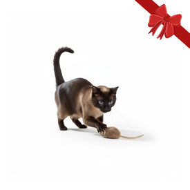 Wonder Christmas Brinquedo Rato de Natal para Gatos,  Wonder Christmas Brinquedo Rato de Natal para Gatos