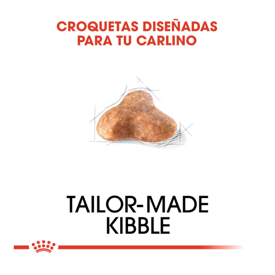 3 kg Royal Canin Adult Pug ra&ccedil;&atilde;o para c&atilde;es, , large Imagem n&uacute;mero 5