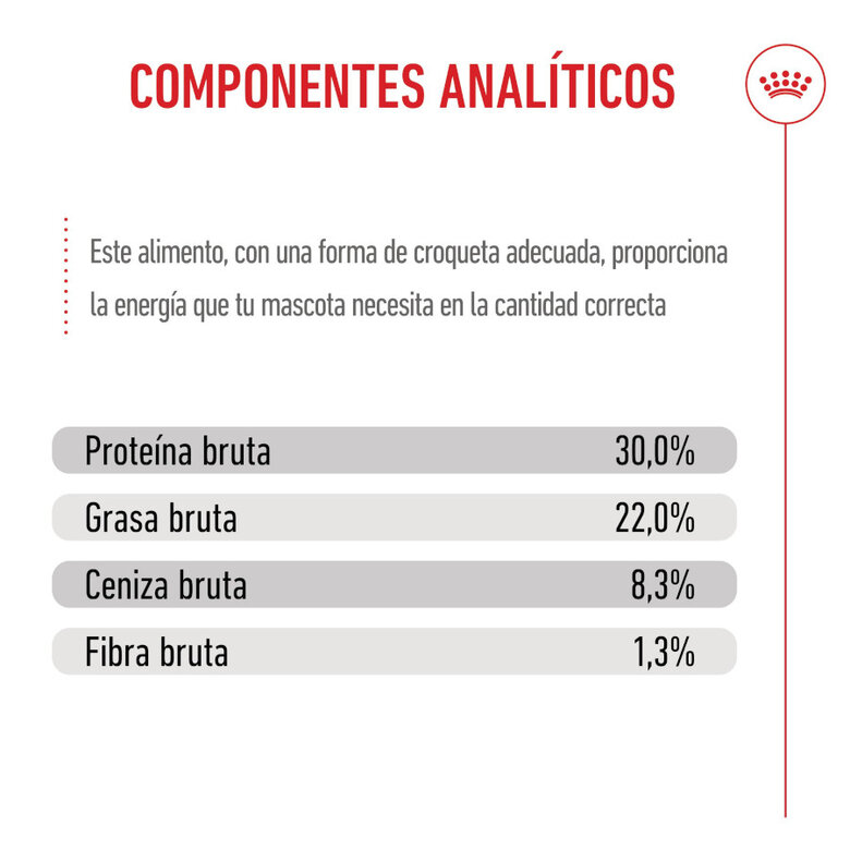 15 kg Royal Canin Medium Starter Mother&Baby ração para cães,  Imagem número 8 15 kg Royal Canin Medium Starter Mother&Baby ração para cães, , large Imagem número 8