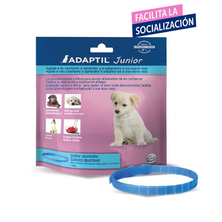 Adaptil Junior Coleira Anti-stress para cães,  Imagem número 2 Adaptil Junior Coleira Anti-stress para cães, , large Imagem número 2