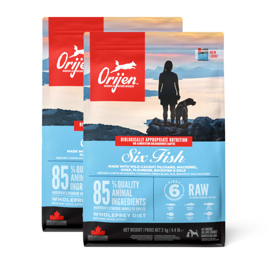 2 x 6 kg Orijen Six Fish Adult ra&ccedil;&atilde;o para c&atilde;es Pack poupan&ccedil;a!, , large Imagem n&uacute;mero 1