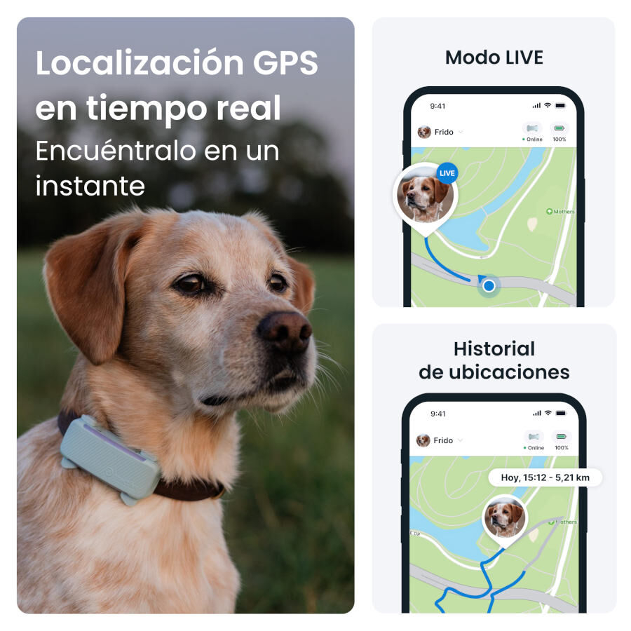 Trative GPS Dog 6 Rastreador de c&atilde;es preto, , large Imagem n&uacute;mero 8
